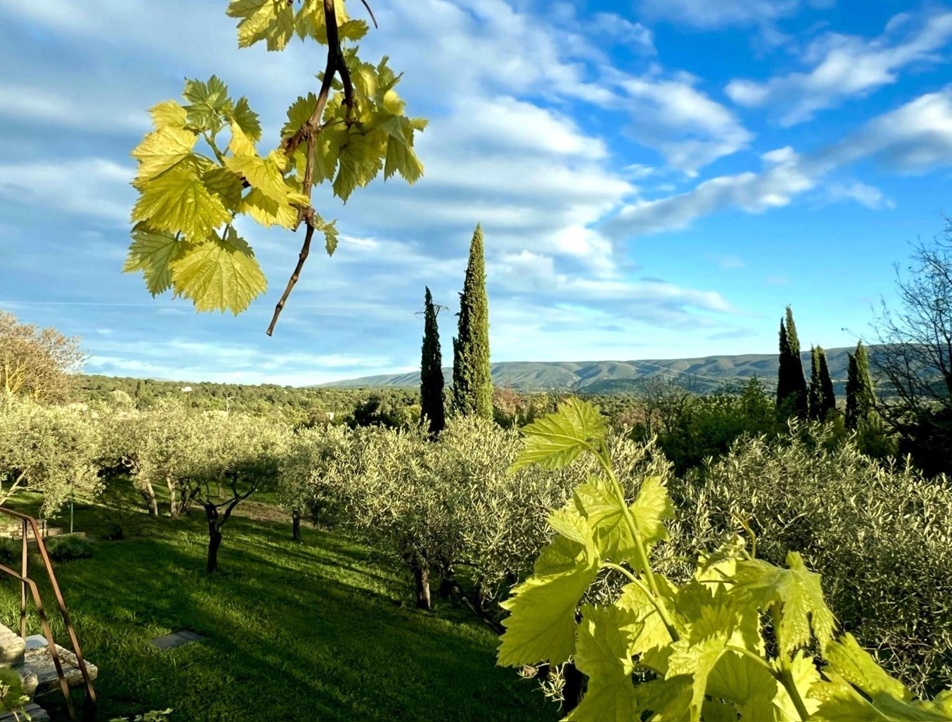 Provence Km28 Bed and Breakfast Gordes Exteriör bild