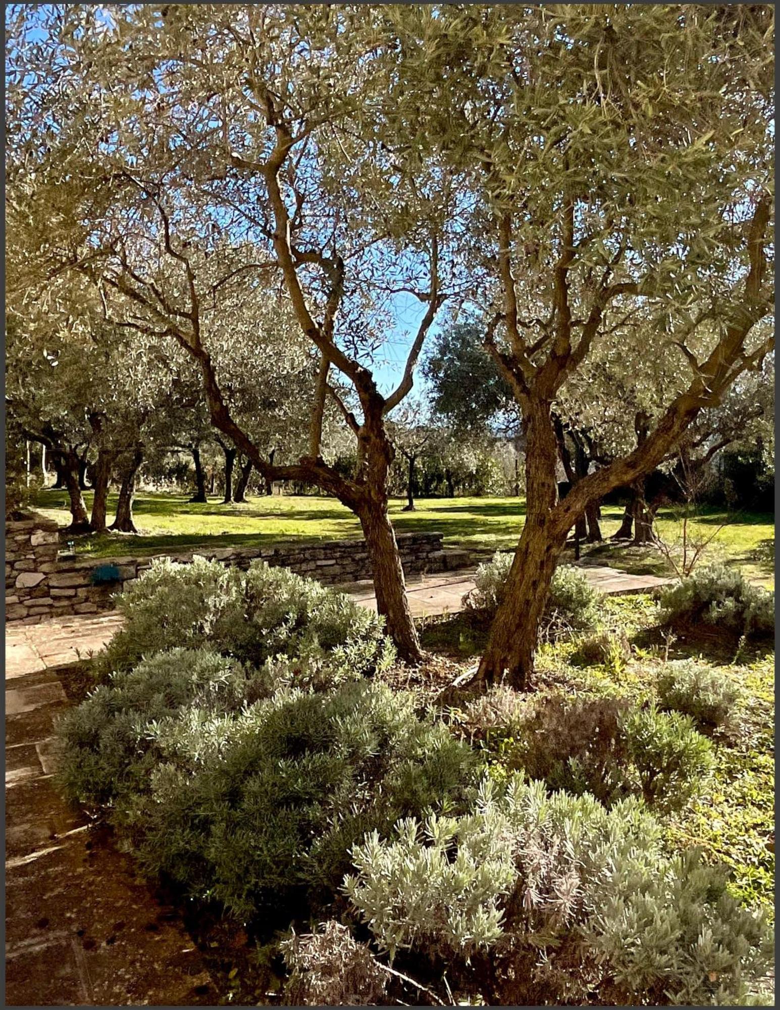Provence Km28 Bed and Breakfast Gordes Exteriör bild